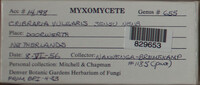 Image Associated With the Occurence